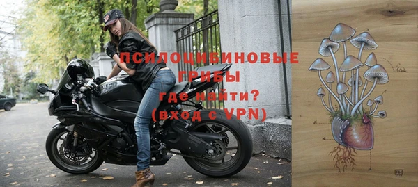 прущие крисы Алзамай