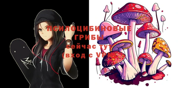 прущие крисы Алзамай